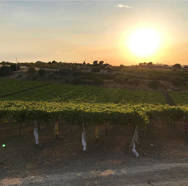 Agriturismo La Casa di Bacco, Agrigento, Italy