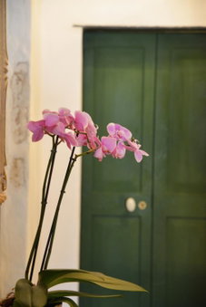 La Terrazza di Vico Olivi B&B, Ventimiglia, Italy