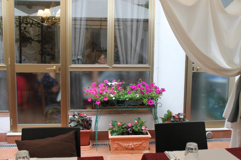 Hotel Dalmazia, Florence, Italy