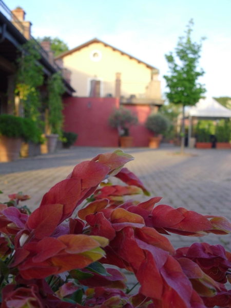 Luxardotel, Rome, Italy