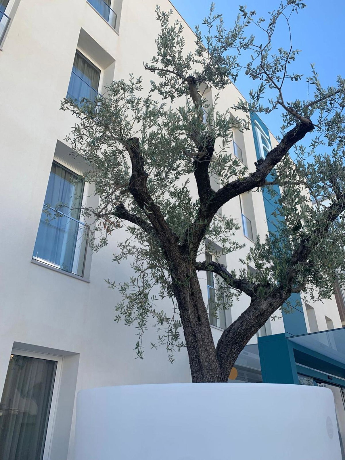 Hotel · Biancodonda Greenblu Hotel & SPA, Gallipoli