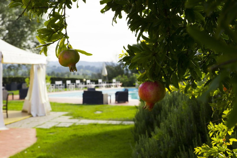 Agriturismo Marrucola, San Miniato, Italy