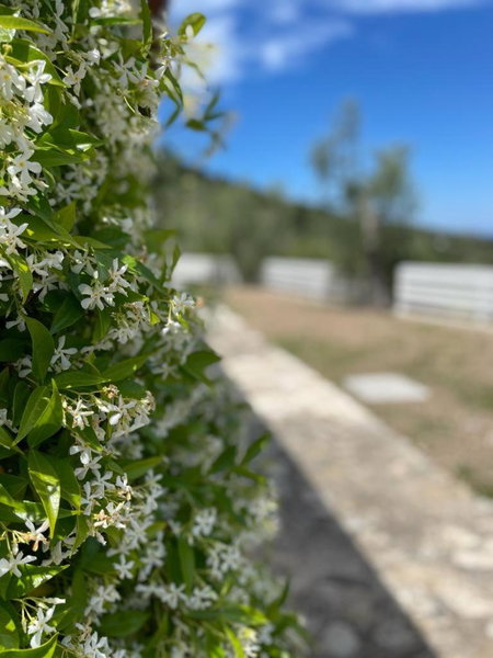 Shanti Home, Vieste, Italy