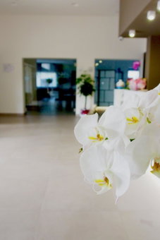 Sicilia Hotel Spa, Giarre, Italy