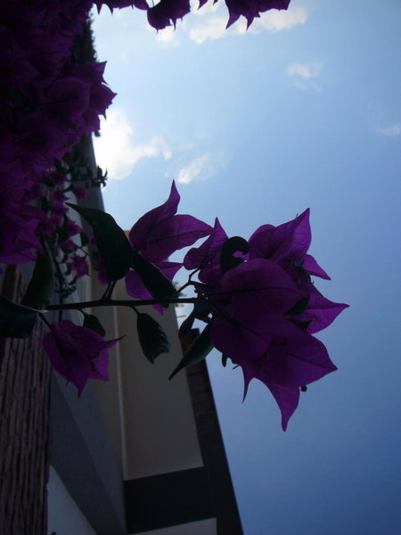 Hotel La Tripergola, Pozzuoli, Italy