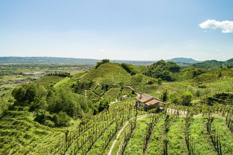 Oasi di pace nel sito UNESCO del Prosecco DOCG, Farra di Soligo, Italy