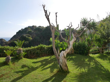 Hotel Torre Sant'Angelo, Forio d'Ischia, Italy