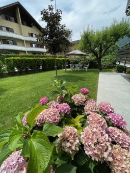 Casa Dolce Casa, Tirano, Italy