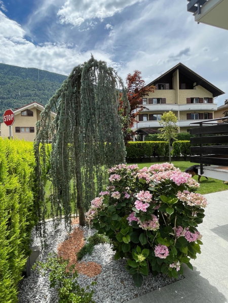 Casa Dolce Casa, Tirano, Italy