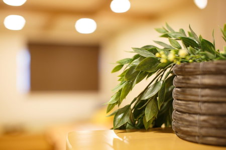Higashiyama Chitaru in Kanazawa, Kanazawa, Japan