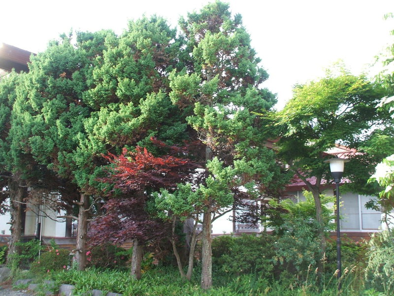 Annex Fujiya Ryokan, Kaminoyama, Japan