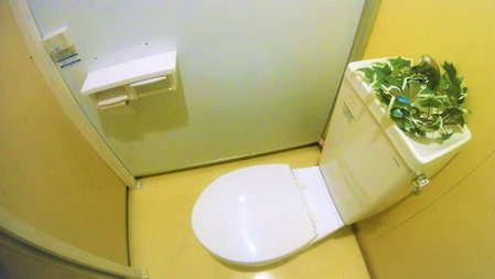 Guesthouse Nandeyanen - Hostel, Motobu, Japan