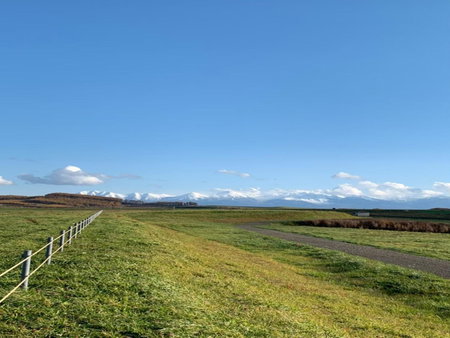Maple Farm, Asahikawa, Japan