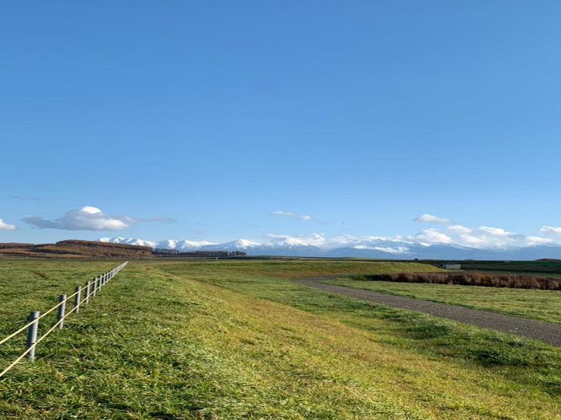 Maple Farm, Asahikawa, Japan