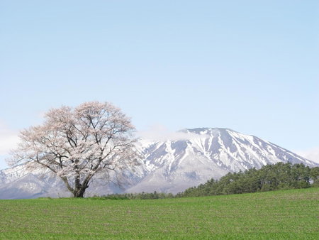 Shizukuishi Prince Hotel, Shizukuishi, Japan
