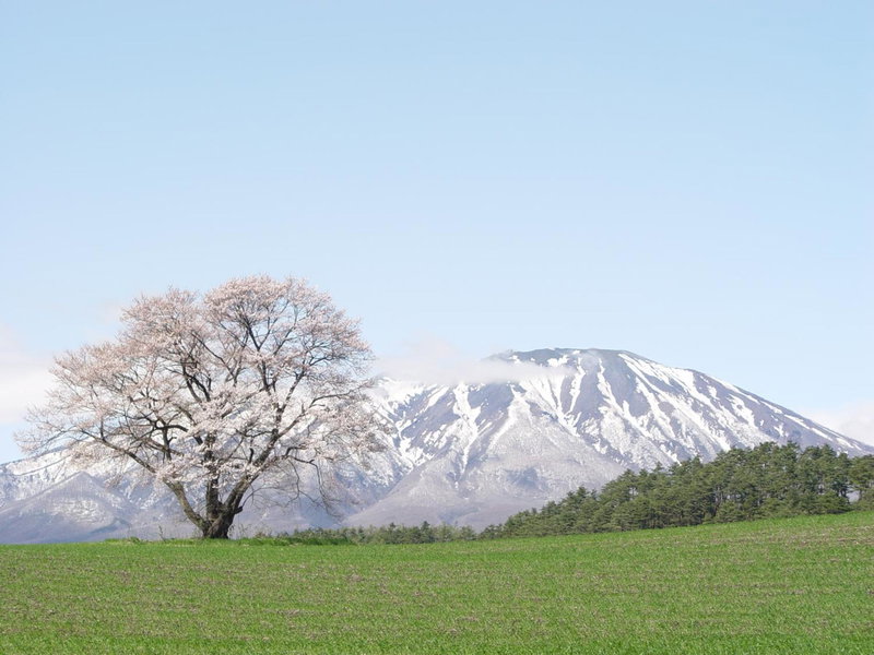 Shizukuishi Prince Hotel, Shizukuishi, Japan