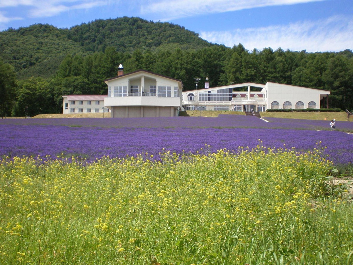 Highland Furano, Japon