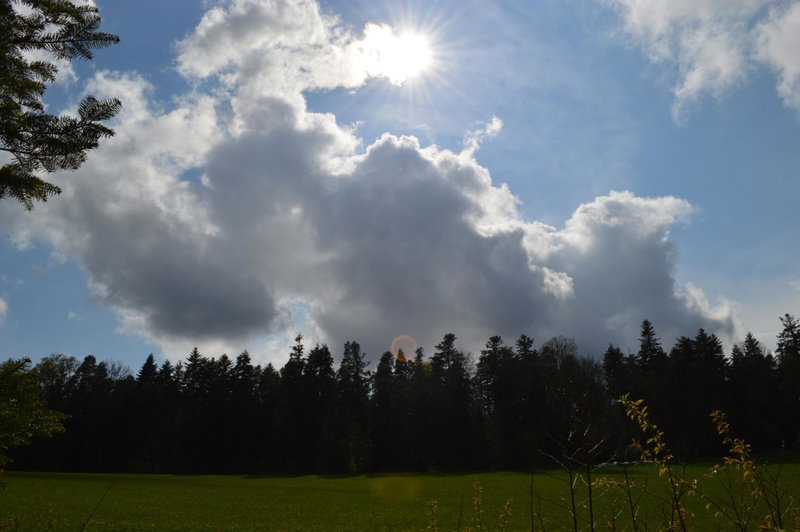 Ausblick Maisenbach, Bad Liebenzell, Germany