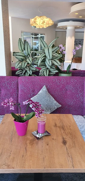 Eden Hotel an den Thermen, Bad Krozingen, Germany
