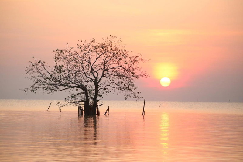 บ้านริมเลปากประ Banrimlay Pakpra, Phatthalung, Thailand