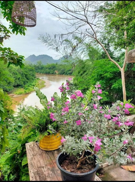 Baanmai Phaipa House, Sai Yok, Thailand