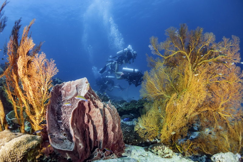 Forra Diving Resort - Pattaya Beach - Koh Lipe, Koh Lipe, Thailand
