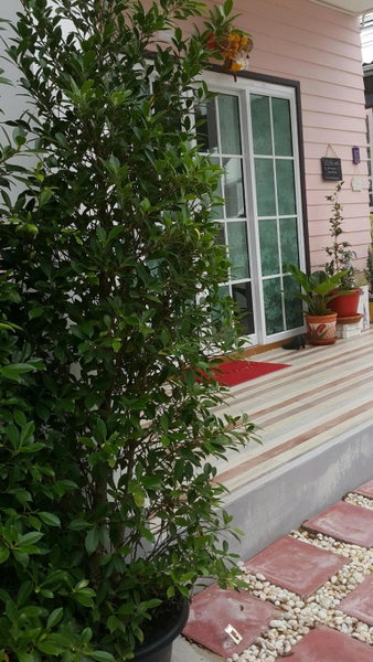 Patchy & PPraw Family, Ubon Ratchathani, Thailand