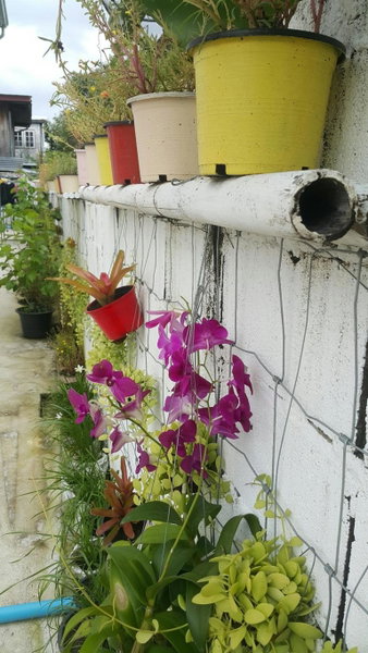 Patchy & PPraw Family, Ubon Ratchathani, Thailand