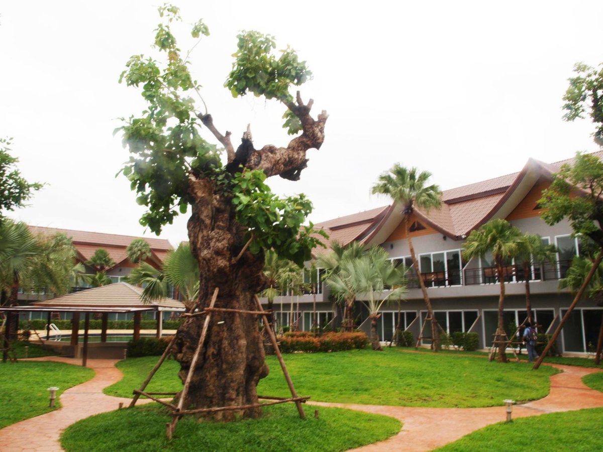 Taman Resort, Thailand