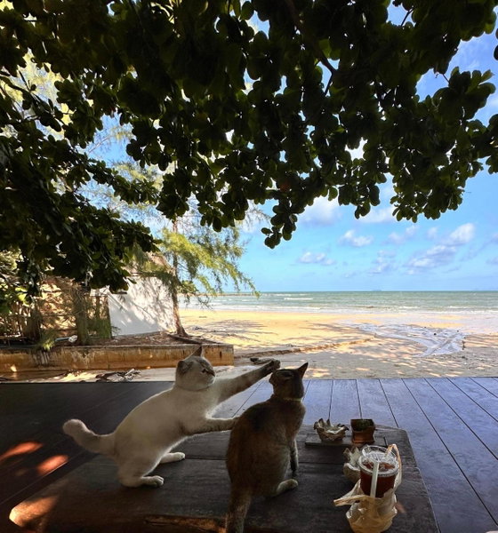 Coconut Lanta Resort @Klong Dow beach, Krabi town, Thailand
