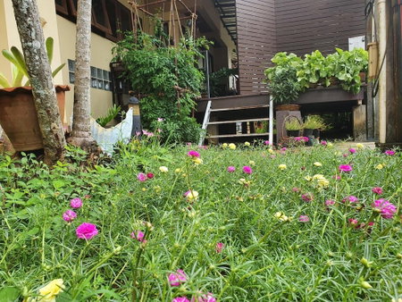 Ritzy House Hotel, Chumphon, Thailand