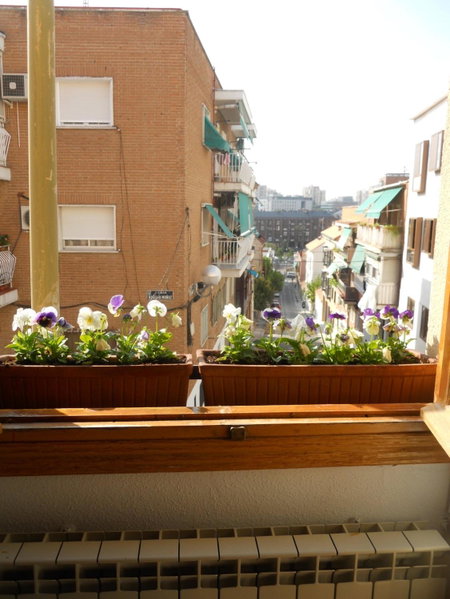 Hostal El Descanso, Madrid, Spain