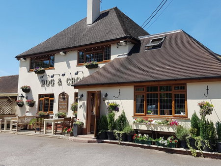 Dog & Crook Braishfield, Romsey, United Kingdom