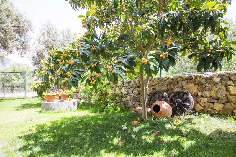 Bal Badem Bungalov, Datça, Turkey