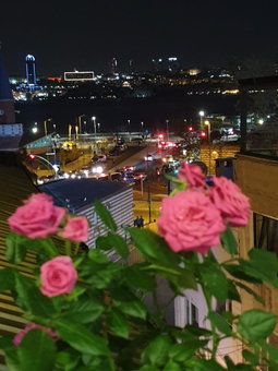 Üsküdar Otel, Istanbul, Turkey