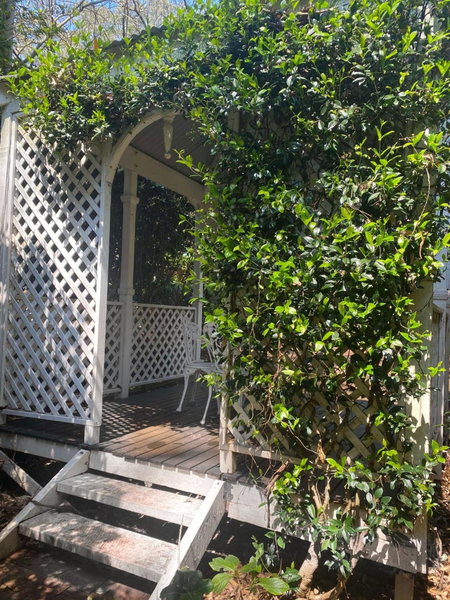 The Romantic Pink English Cottage at Tamborine Mountain, Mount Tamborine, Australia