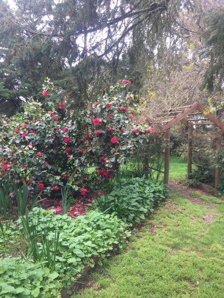 Sherwood Park bed and breakfast, Somerville, Australia