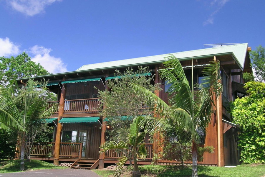 Atherton Blue Gum, Atherton, Australia