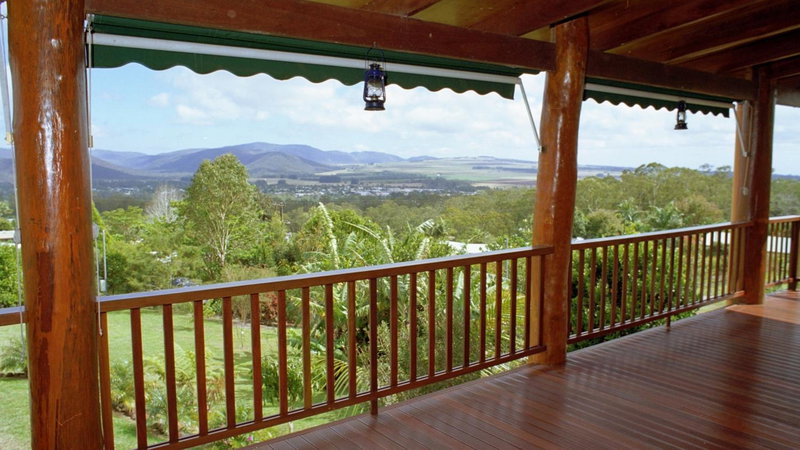Atherton Blue Gum, Atherton, Australia