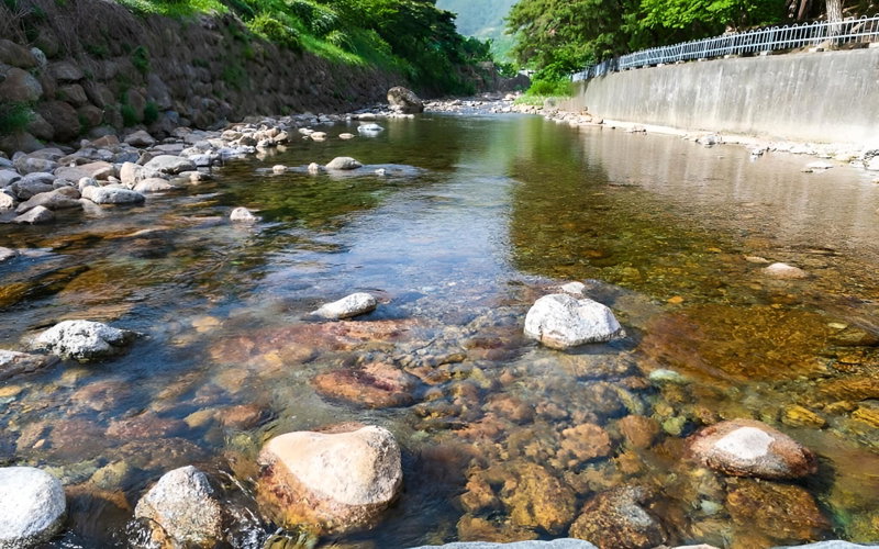 Gurye Dandelion Travel Pension, Gurye, South Korea