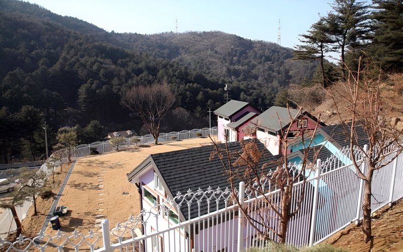 Pocheon Heal Forest Pension, Pocheon, South Korea