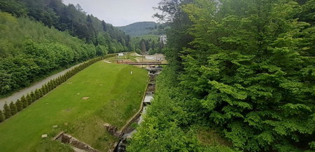 Czarodziejska Góra Kozubnik Daglezja, Porąbka, Poland