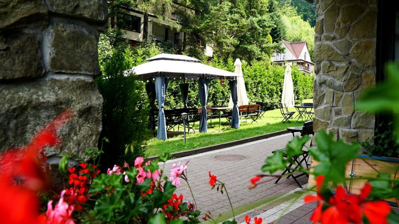 Czarodziejska Góra Kozubnik Daglezja, Porąbka, Poland