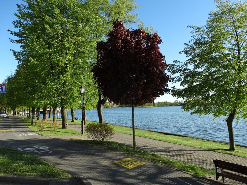 ApartamentPromenadaEłk, Ełk, Poland