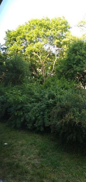 Zielony Apartament, Kielce, Targi, Centrum, Kielce, Poland