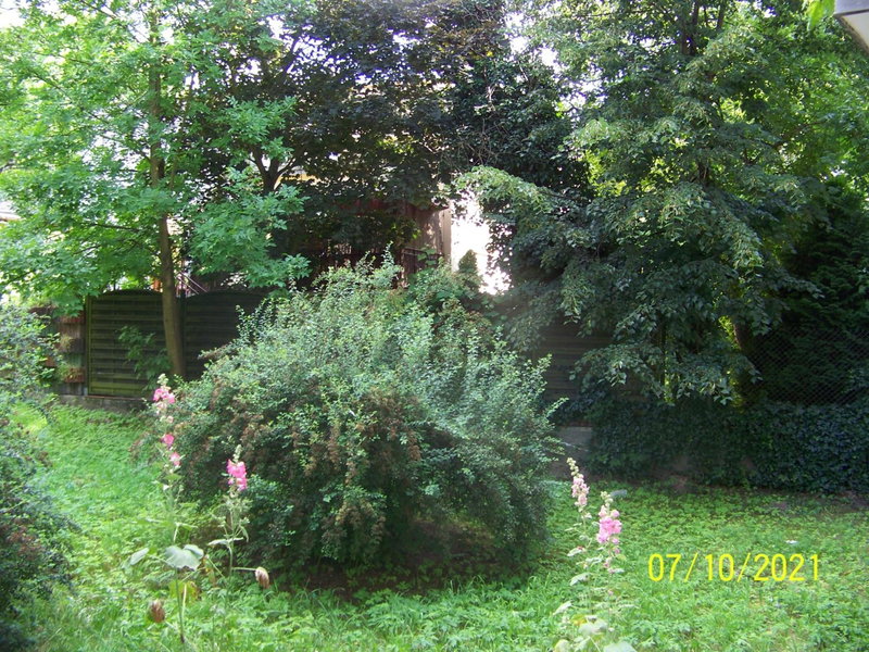 Zielony Apartament, Kielce, Targi, Centrum, Kielce, Poland