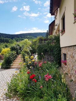 Apartamenty Dom na Wzgórzu Gardenia, Stronie Śląskie, Poland