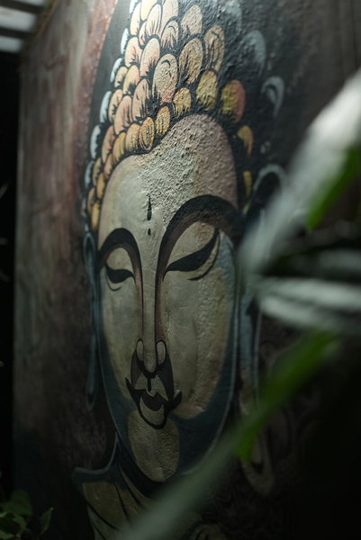 Wind Valley Farmstay, Ramakkalmedu, India