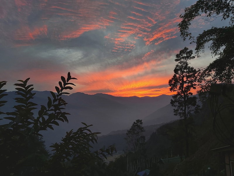 oak valley retreat homestay hostel cafe, Geyzing, India