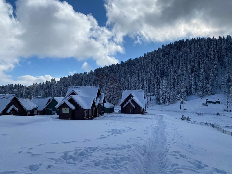 Gulmarg Woods By Stay Pattern, Gulmarg, India
